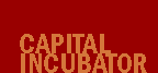 Capital Incubator