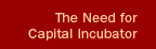 The Need for Capital Incubator